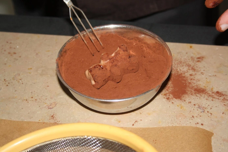 version cacao en poudre
